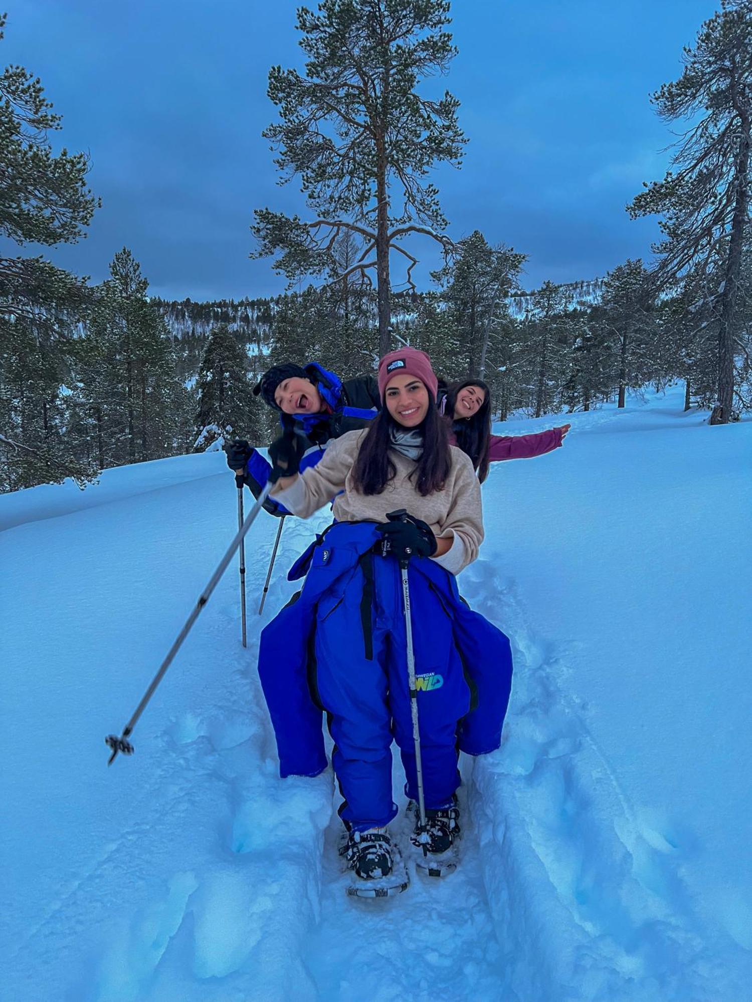 Norwegian Wild Villa Brygghaugen Екстериор снимка