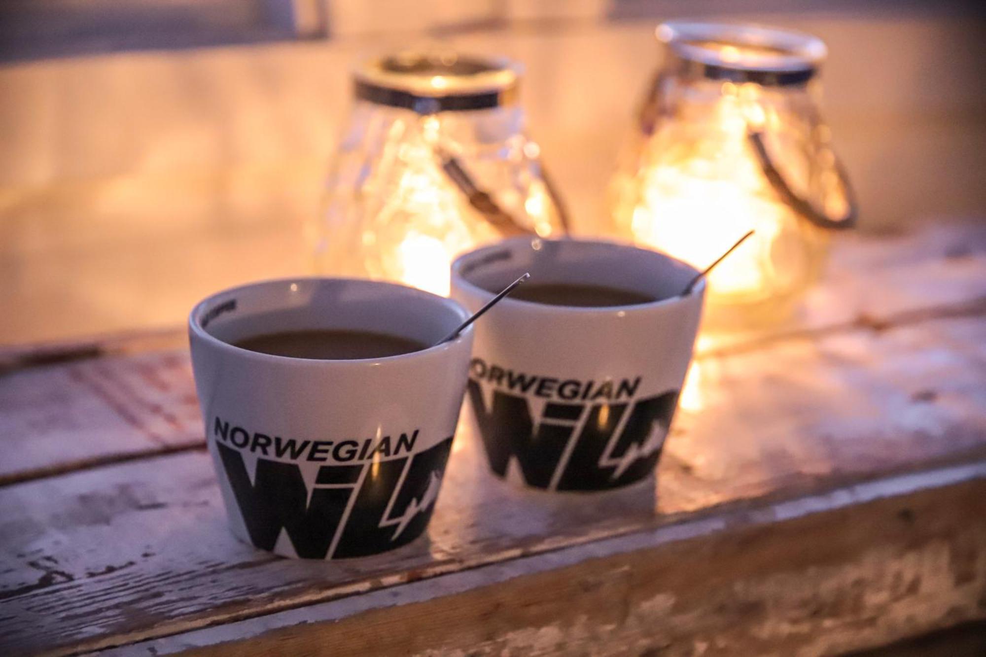 Norwegian Wild Villa Brygghaugen Екстериор снимка