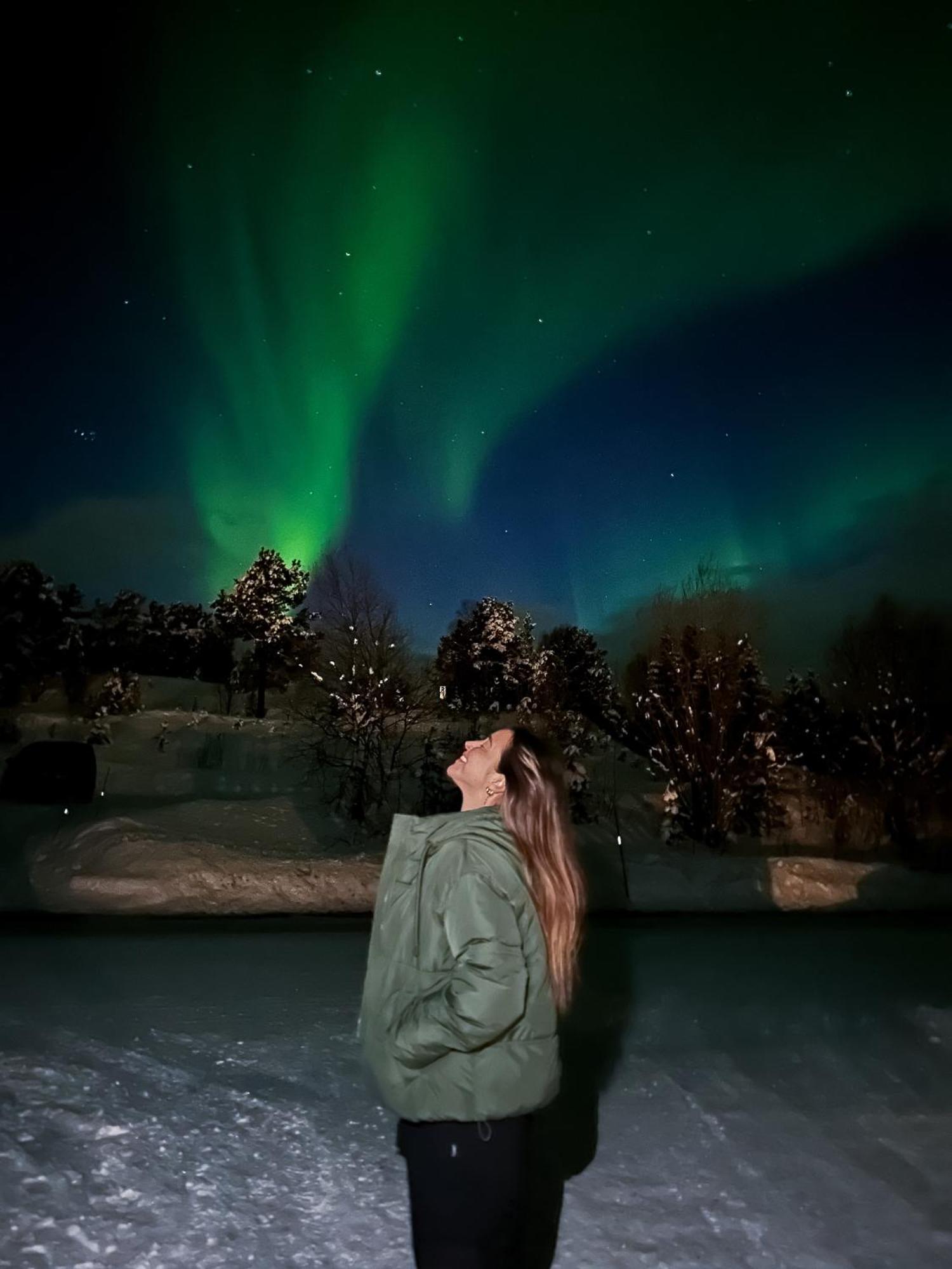 Norwegian Wild Villa Brygghaugen Екстериор снимка